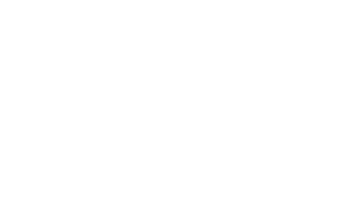 Academia de la Gestión Publica